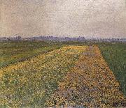 Gustave Caillebotte Yellow field oil painting